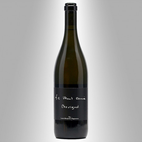 SANCERRE 2011 - DOMAINE DIDIER DAGUENEAU