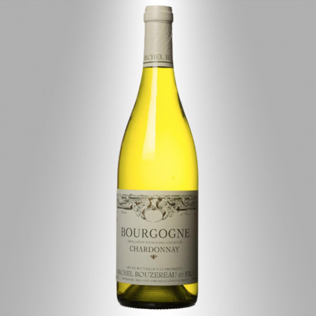 BOURGOGNE COTE D'OR BLANC 2017 - DOMAINE MICHEL BOUZEREAU ET FILS