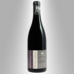 SAUMUR CHAMPIGNY 2012 - DOMAINE DES ROCHES NEUVES