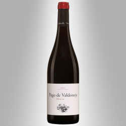 BIERZO 2018 'PAGO DE VALDONEJE' - VINOS VALTUILLE