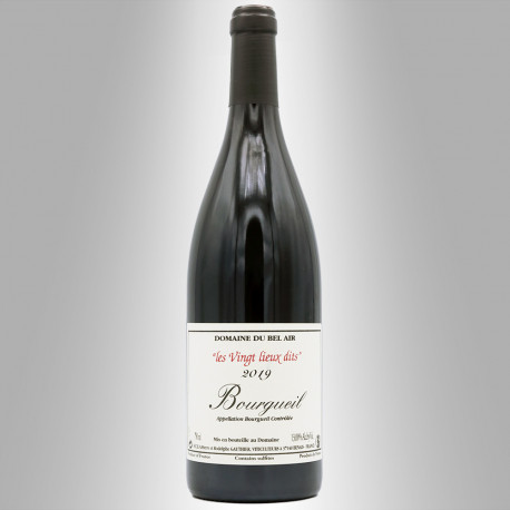 BOURGUEIL 2019 'LES VINGT LIEUX DITS' - DOMAINE DU BEL AIR