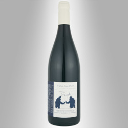 BOURGUEIL 2020 'TRINCH' - DOMAINE BRETON
