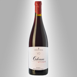 BIERZO 2020 'COBRANA' - VERONICA ORTEGA